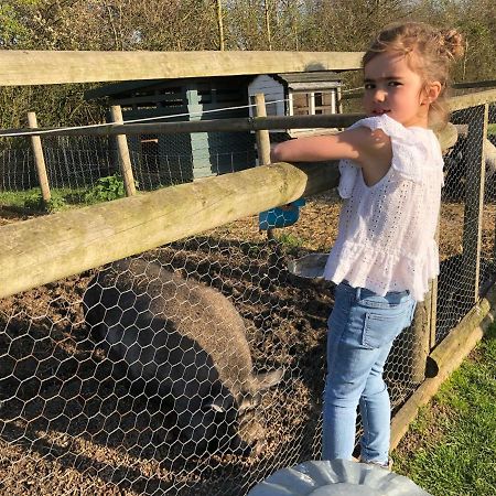 Willow Court Farm Studio East & Petting Farm, 8 Mins To Legoland & Windsor, 15 Mins To Lapland Uk Extérieur photo