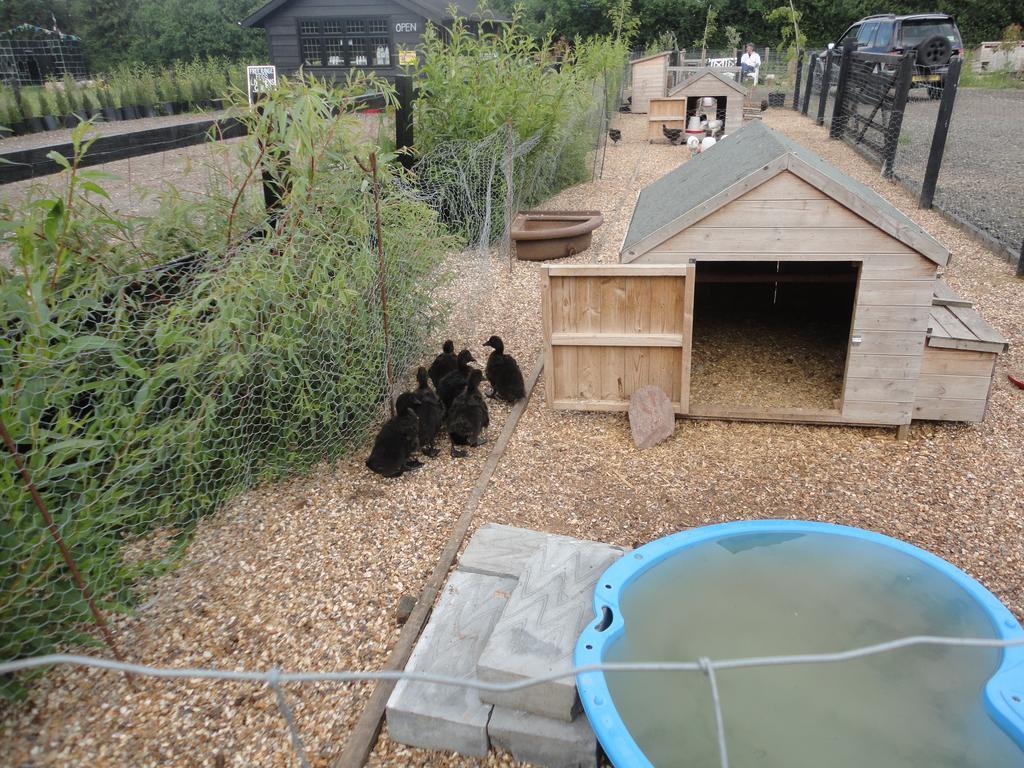 Willow Court Farm Studio East & Petting Farm, 8 Mins To Legoland & Windsor, 15 Mins To Lapland Uk Extérieur photo