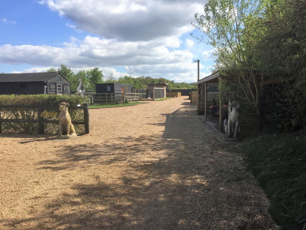 Willow Court Farm Studio East & Petting Farm, 8 Mins To Legoland & Windsor, 15 Mins To Lapland Uk Extérieur photo