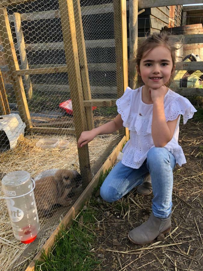 Willow Court Farm Studio East & Petting Farm, 8 Mins To Legoland & Windsor, 15 Mins To Lapland Uk Extérieur photo