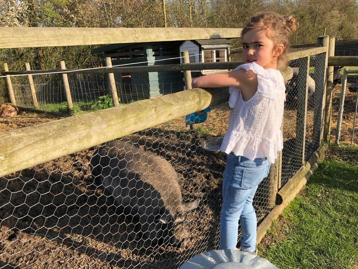 Willow Court Farm Studio East & Petting Farm, 8 Mins To Legoland & Windsor, 15 Mins To Lapland Uk Extérieur photo