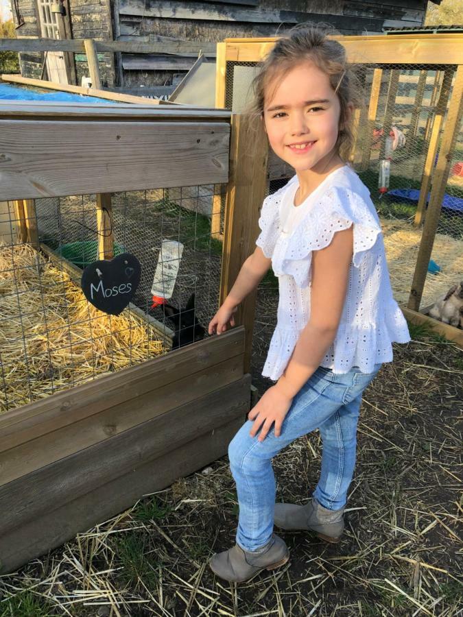 Willow Court Farm Studio East & Petting Farm, 8 Mins To Legoland & Windsor, 15 Mins To Lapland Uk Extérieur photo