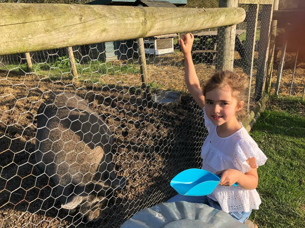Willow Court Farm Studio East & Petting Farm, 8 Mins To Legoland & Windsor, 15 Mins To Lapland Uk Extérieur photo